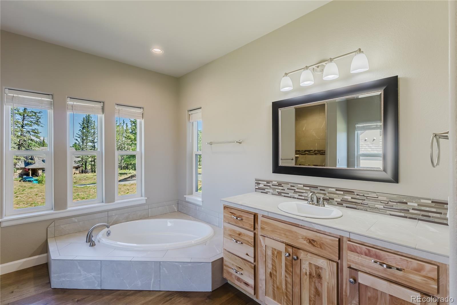 MLS Image #21 for 407  silvermoon heights,divide, Colorado