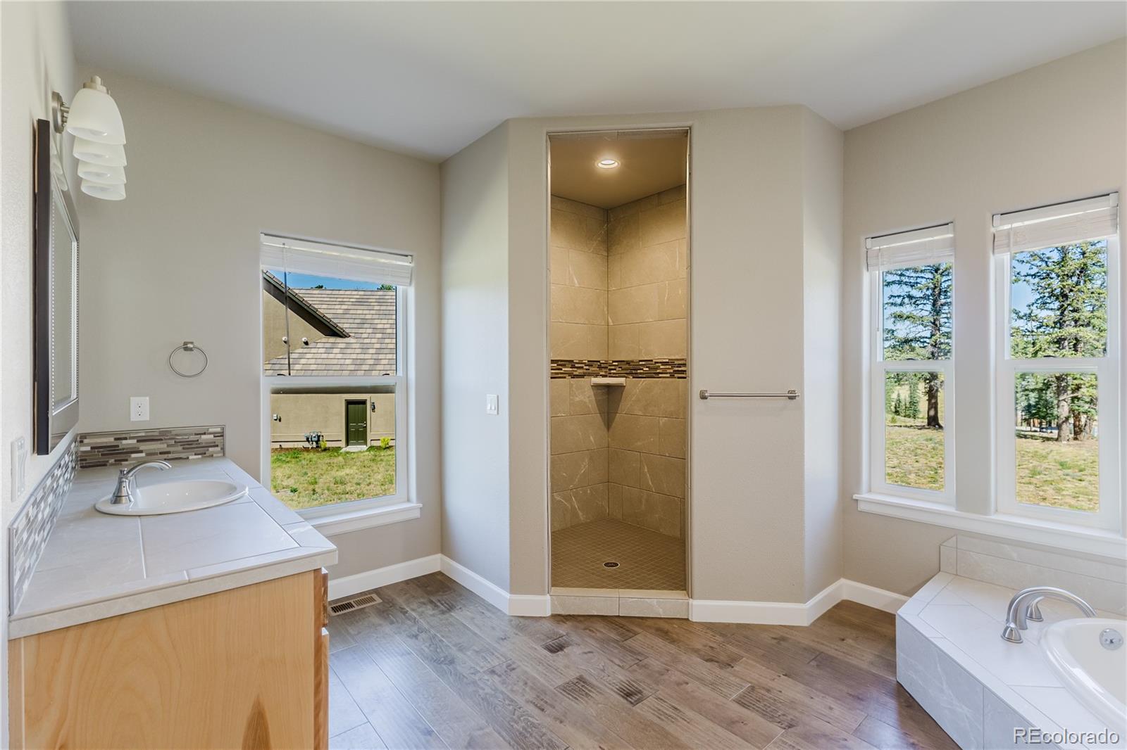 MLS Image #22 for 407  silvermoon heights,divide, Colorado