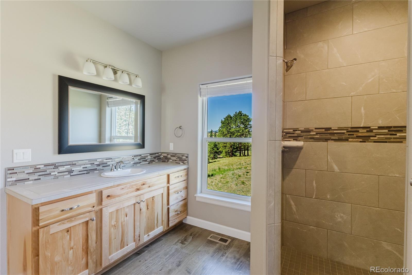MLS Image #23 for 407  silvermoon heights,divide, Colorado