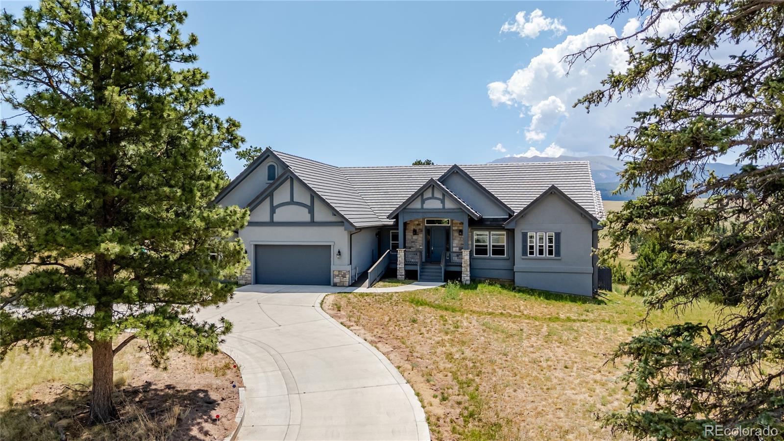 MLS Image #4 for 407  silvermoon heights,divide, Colorado