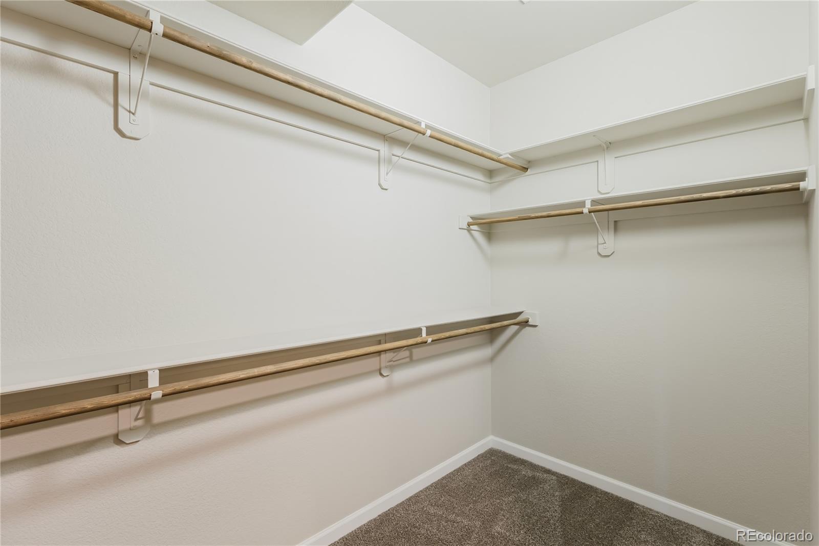 MLS Image #42 for 407  silvermoon heights,divide, Colorado