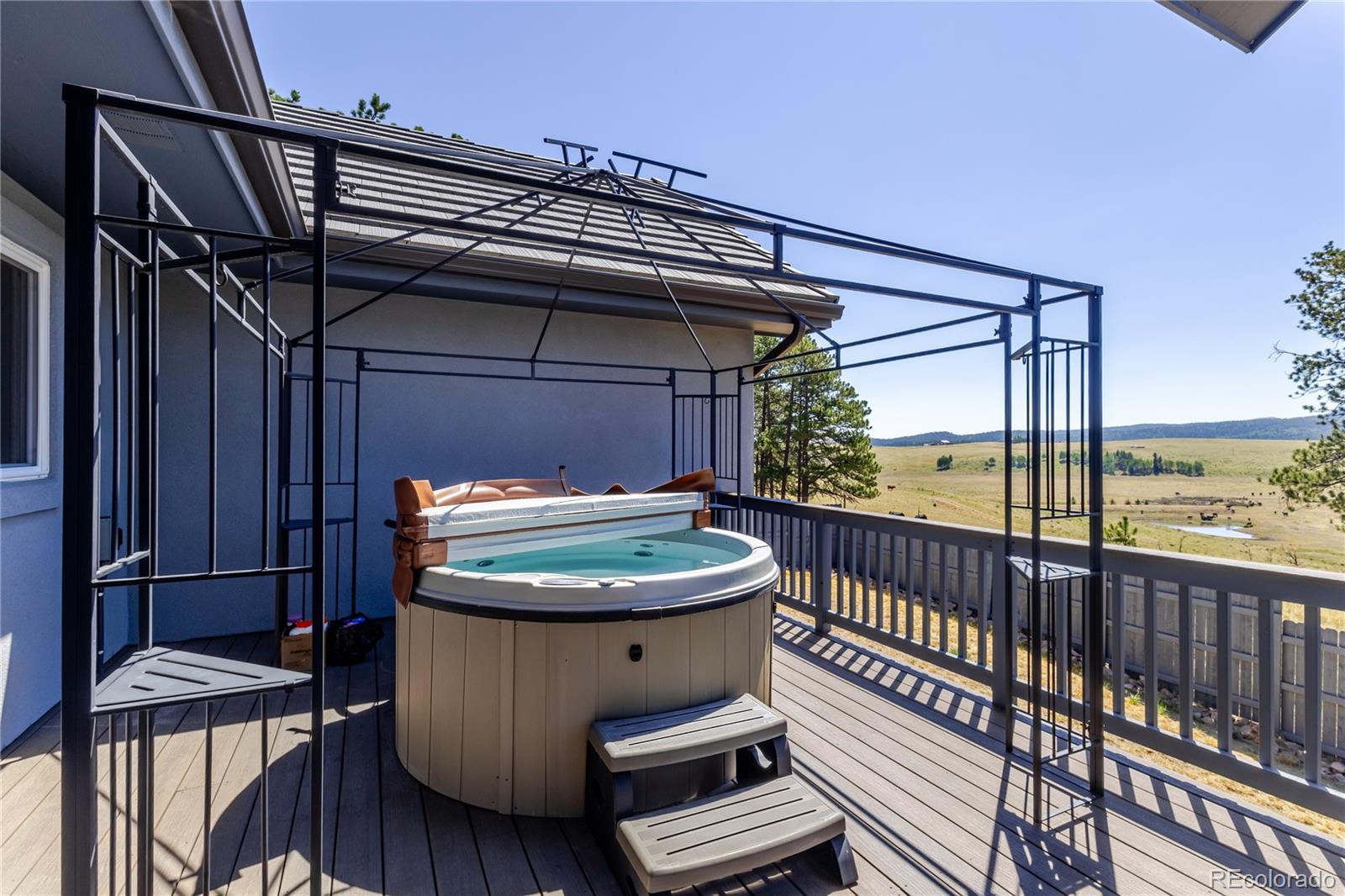 MLS Image #44 for 407  silvermoon heights,divide, Colorado