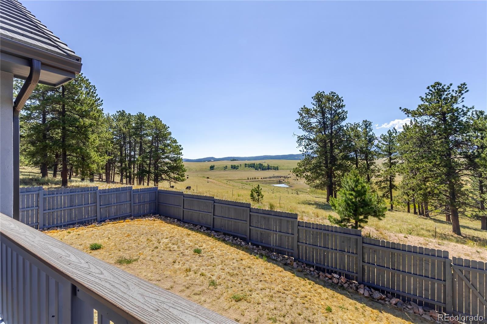 MLS Image #45 for 407  silvermoon heights,divide, Colorado