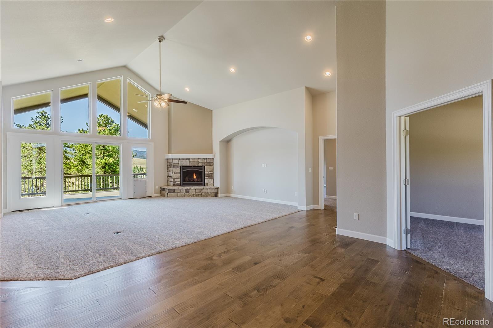 MLS Image #6 for 407  silvermoon heights,divide, Colorado