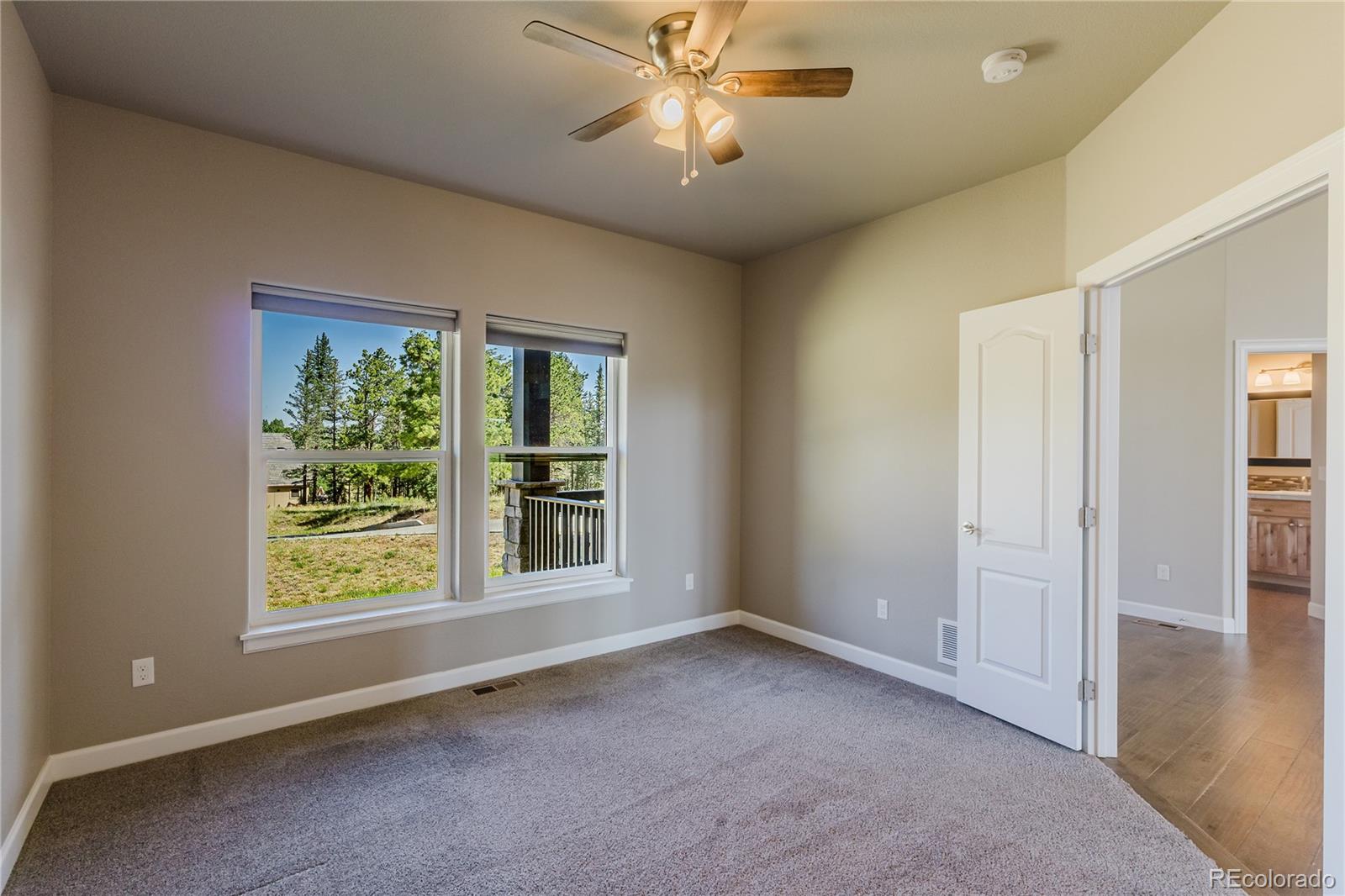MLS Image #9 for 407  silvermoon heights,divide, Colorado