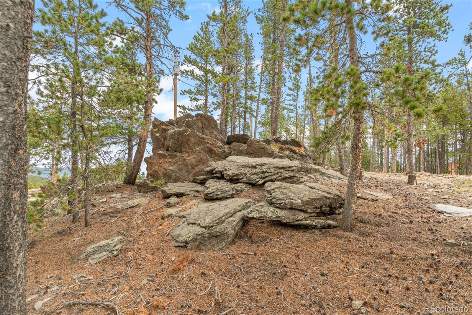 MLS Image #42 for 74  valley view lane,evergreen, Colorado