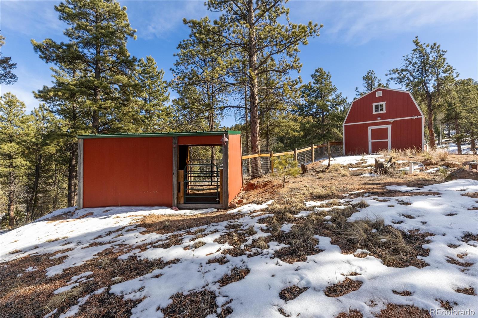 MLS Image #29 for 1910  wildhorn road,florissant, Colorado
