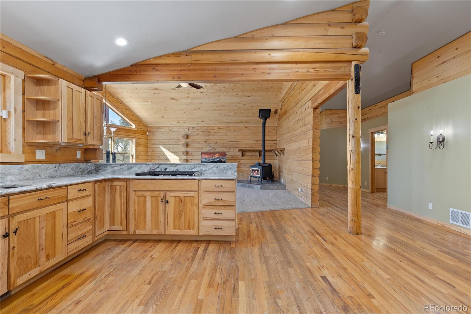 MLS Image #7 for 1910  wildhorn road,florissant, Colorado