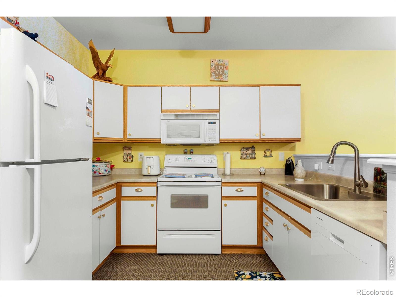 MLS Image #5 for 103  lucca drive,evans, Colorado