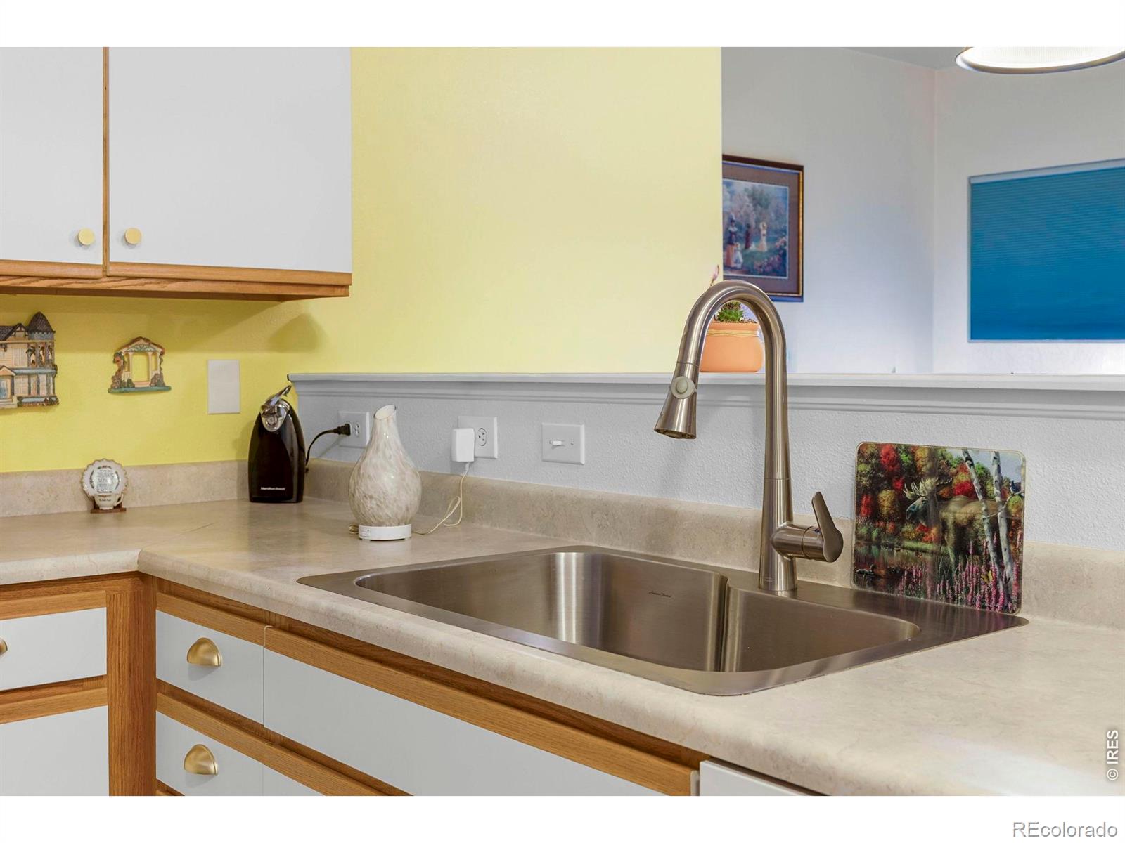 MLS Image #6 for 103  lucca drive,evans, Colorado