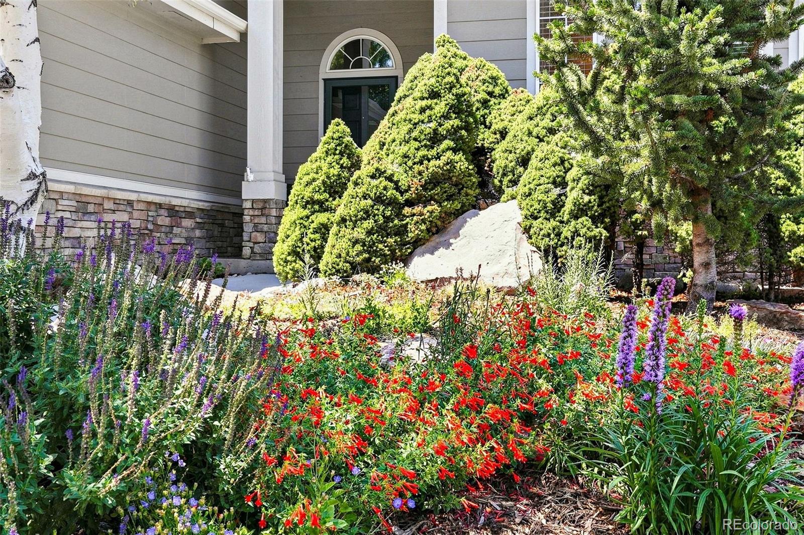 MLS Image #4 for 10187  riverstone drive,parker, Colorado