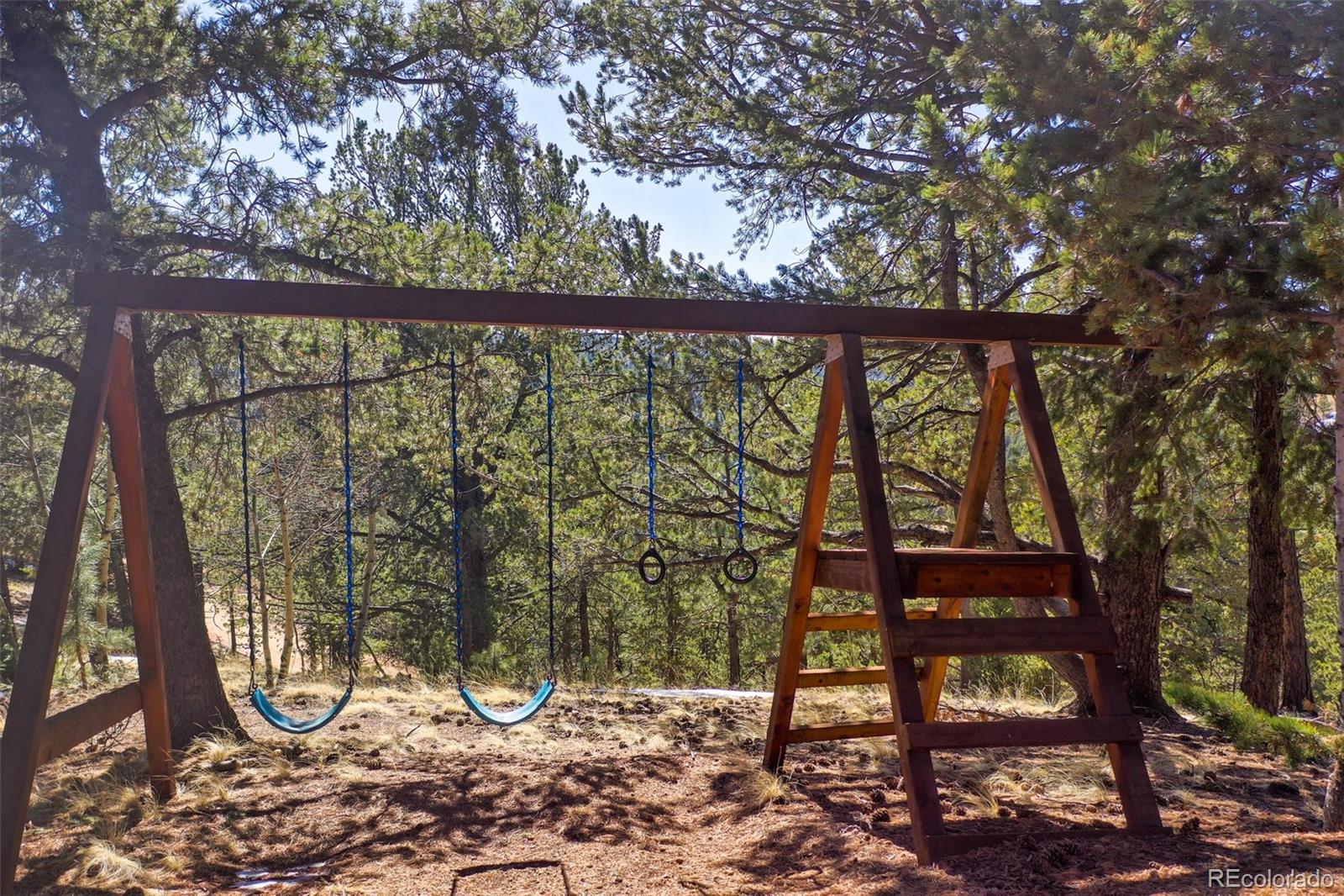 MLS Image #2 for 493  horseshoe drive,divide, Colorado