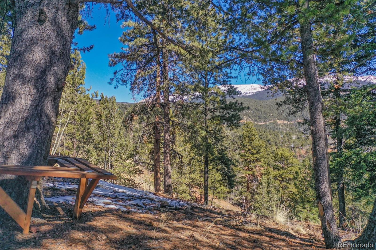MLS Image #3 for 493  horseshoe drive,divide, Colorado