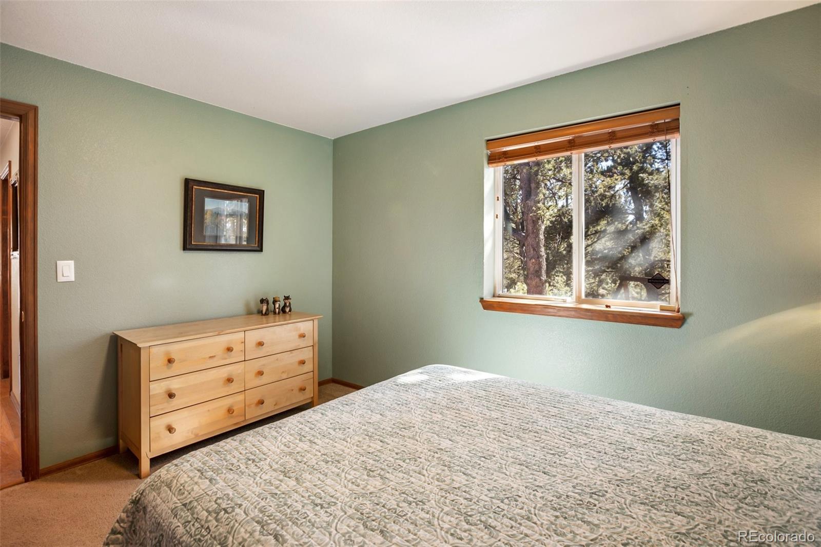 MLS Image #32 for 493  horseshoe drive,divide, Colorado