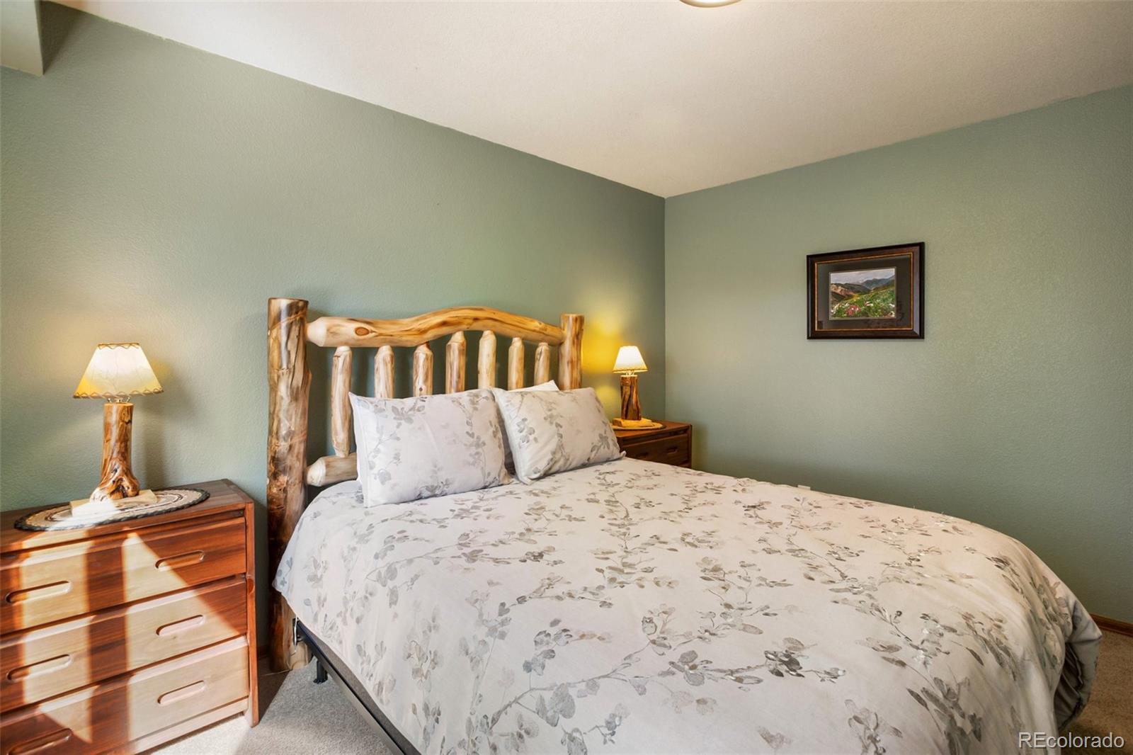 MLS Image #34 for 493  horseshoe drive,divide, Colorado