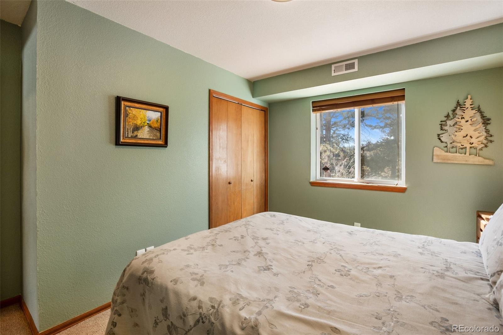 MLS Image #36 for 493  horseshoe drive,divide, Colorado