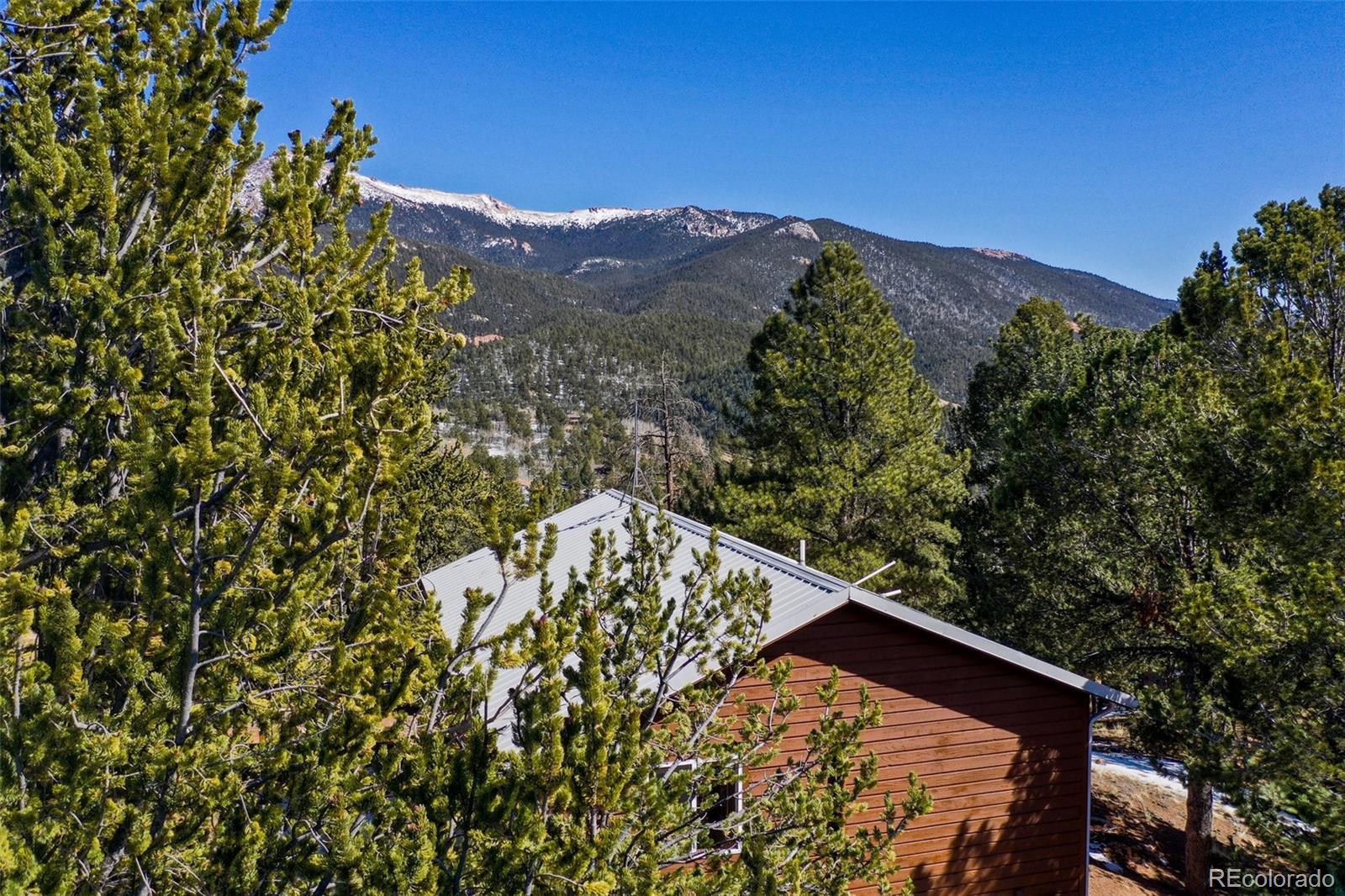 MLS Image #4 for 493  horseshoe drive,divide, Colorado