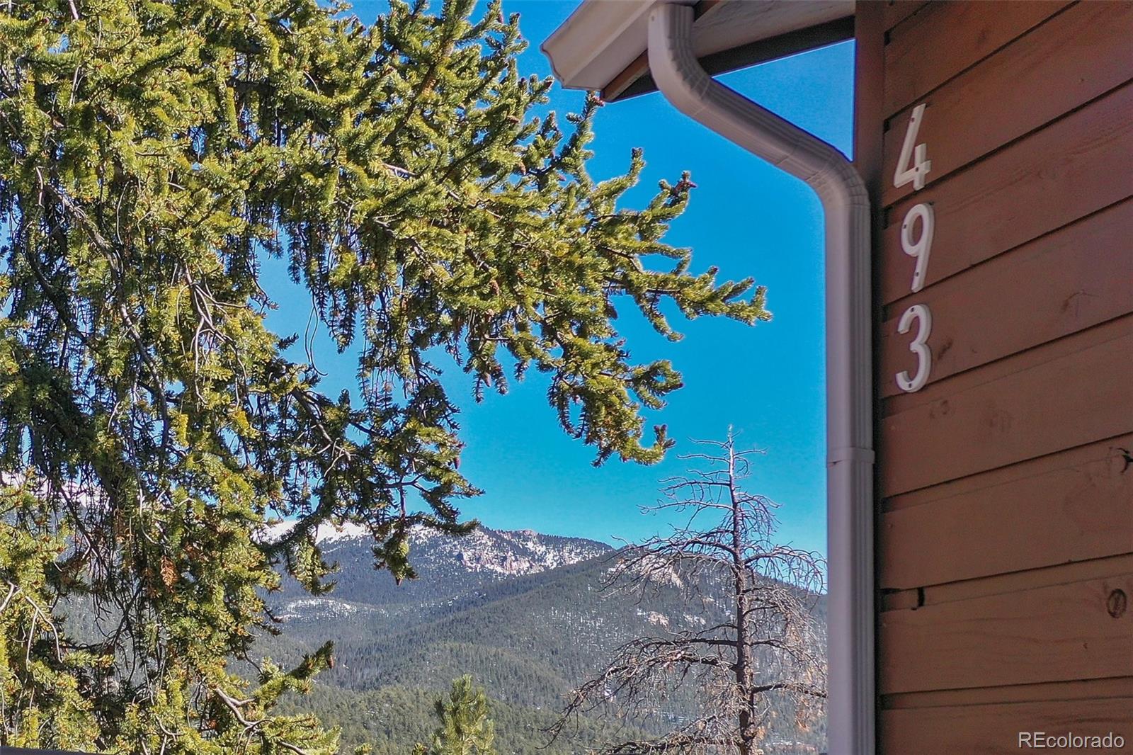 MLS Image #5 for 493  horseshoe drive,divide, Colorado