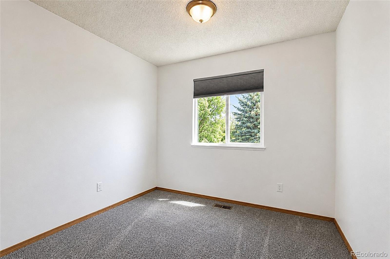 MLS Image #20 for 7739  del ray bay street,fountain, Colorado