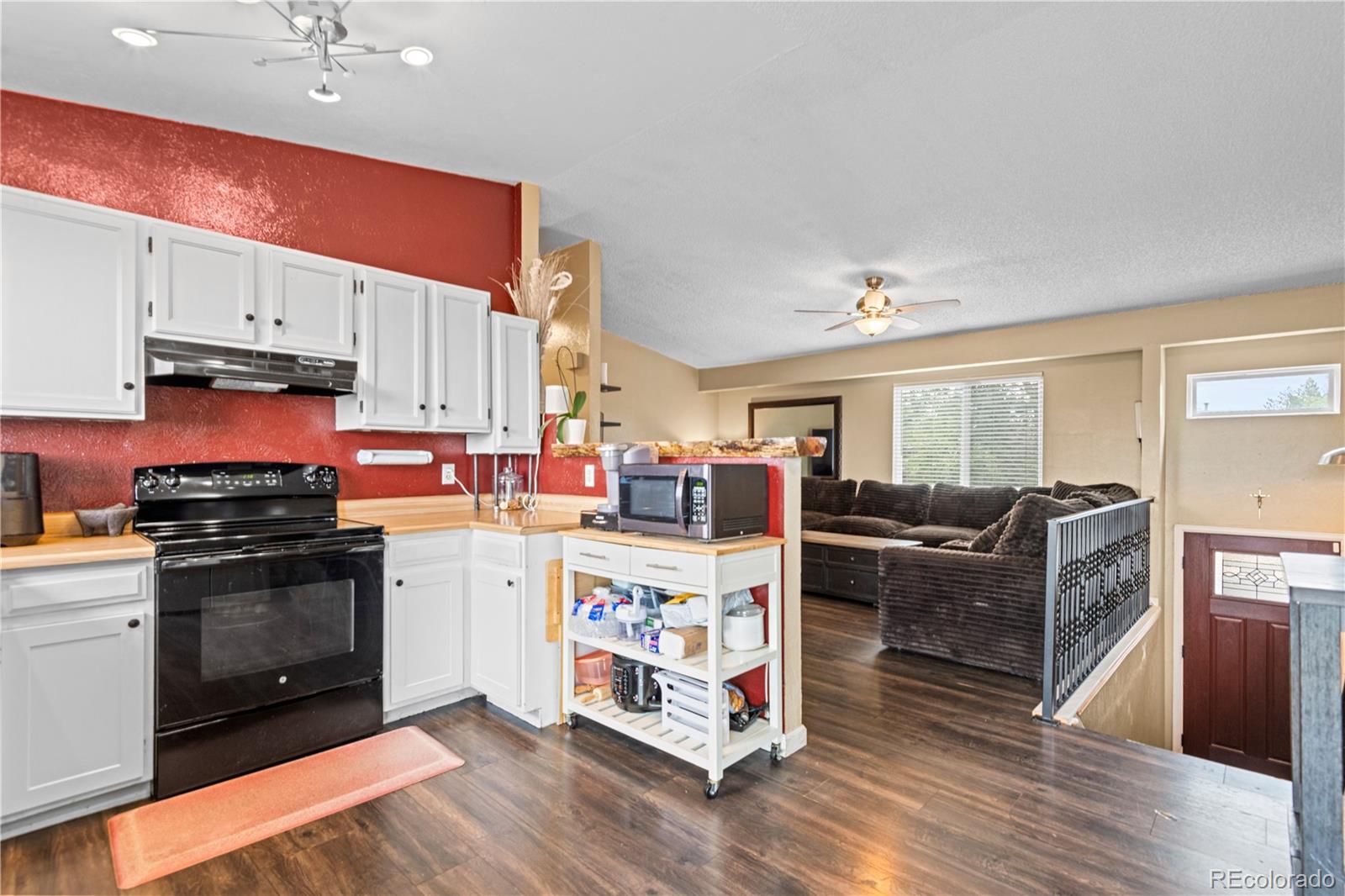 MLS Image #11 for 1740 e 96th drive,denver, Colorado