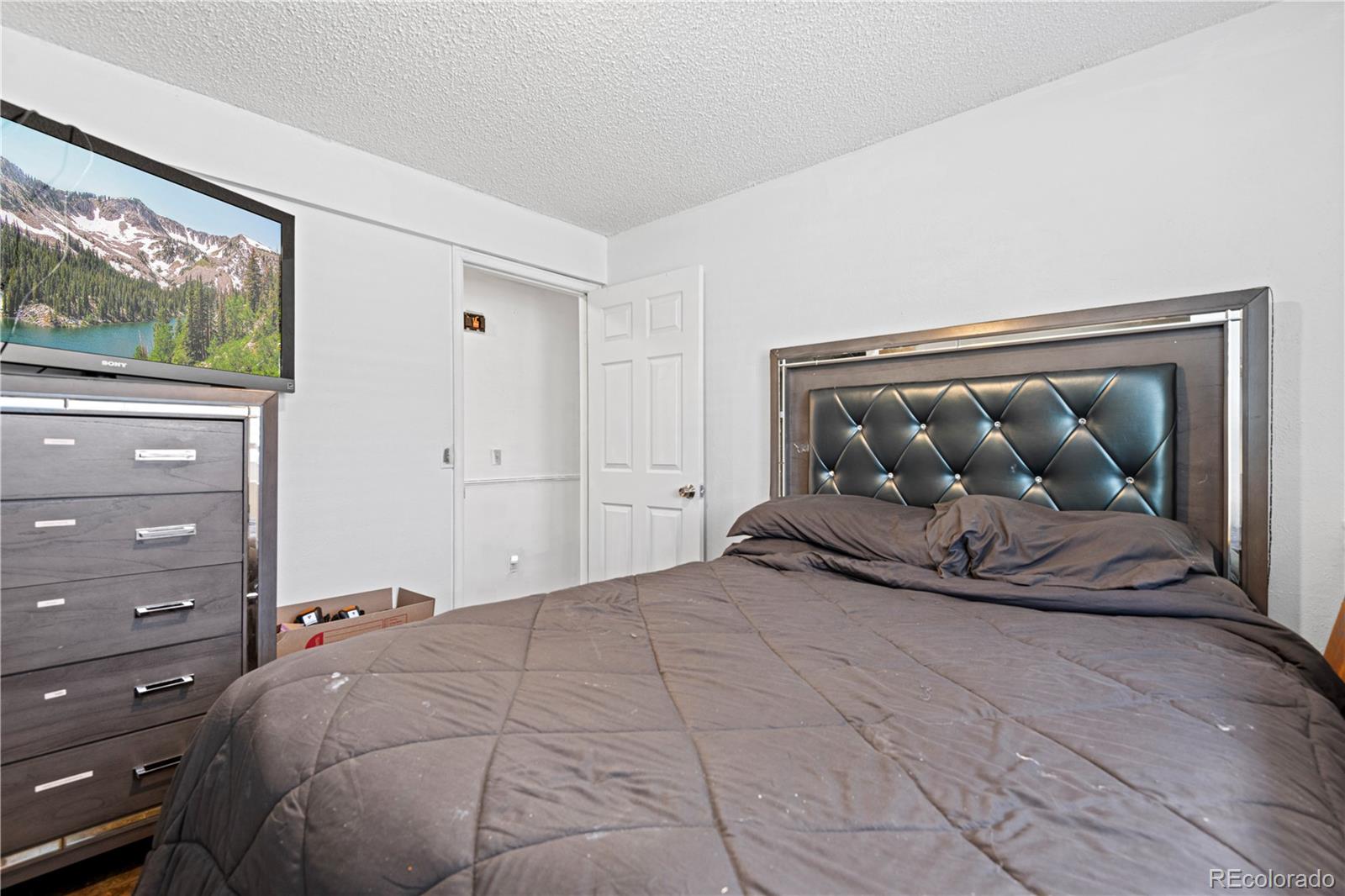 MLS Image #20 for 1740 e 96th drive,denver, Colorado