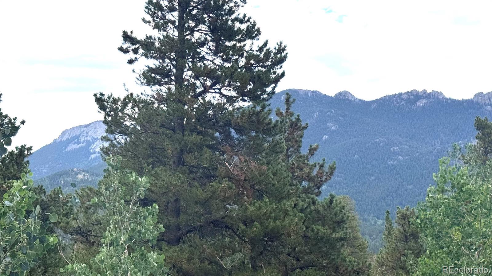 MLS Image #8 for 451  highpoint circle,black hawk, Colorado