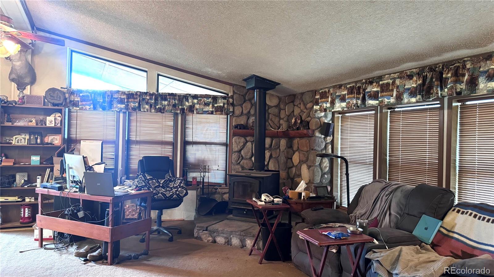 MLS Image #9 for 451  highpoint circle,black hawk, Colorado