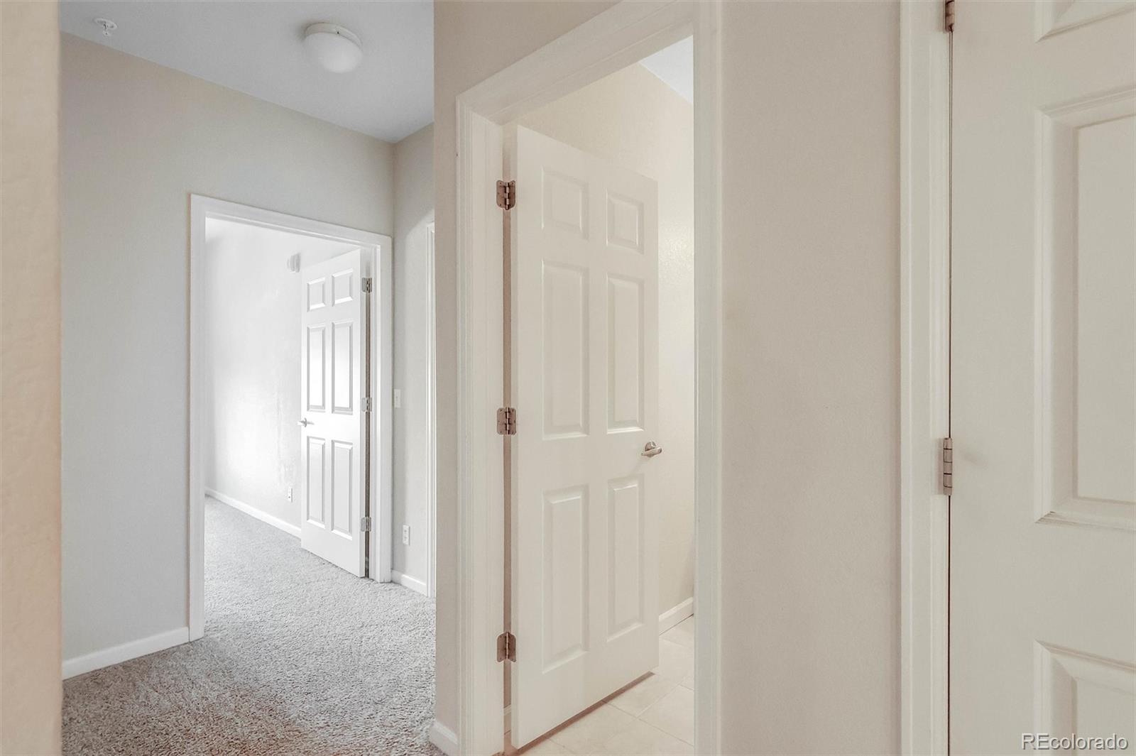 MLS Image #17 for 9318  las ramblas court,parker, Colorado