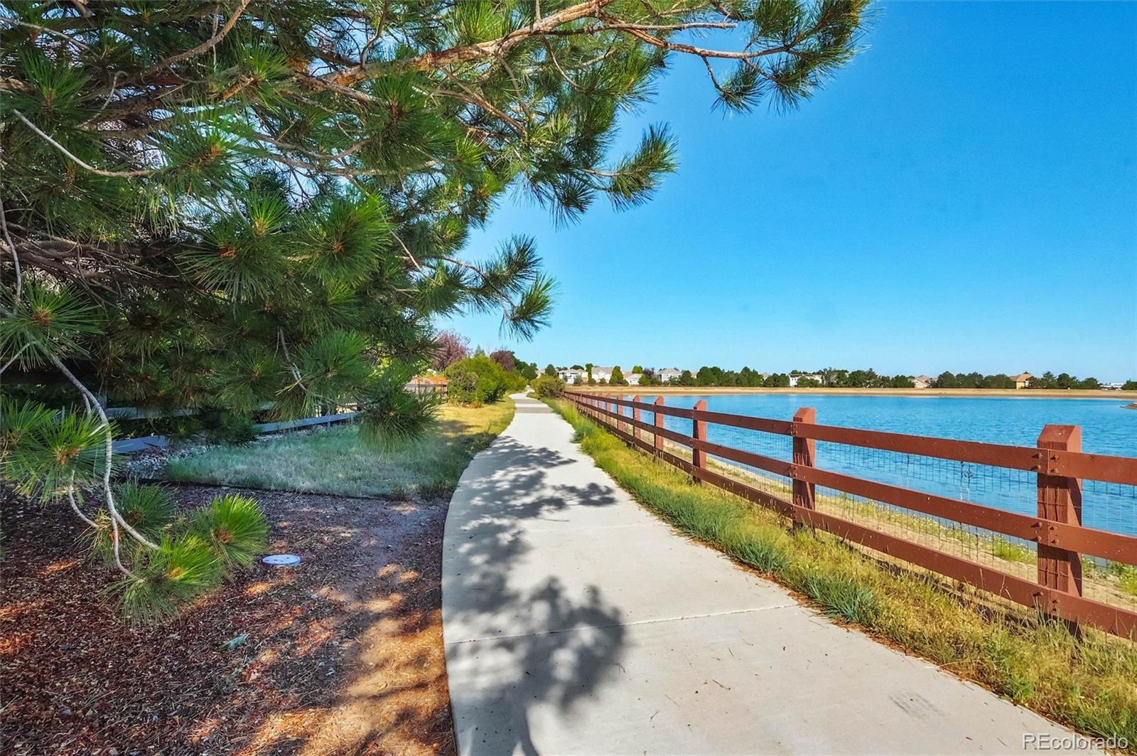 MLS Image #49 for 9318  las ramblas court,parker, Colorado