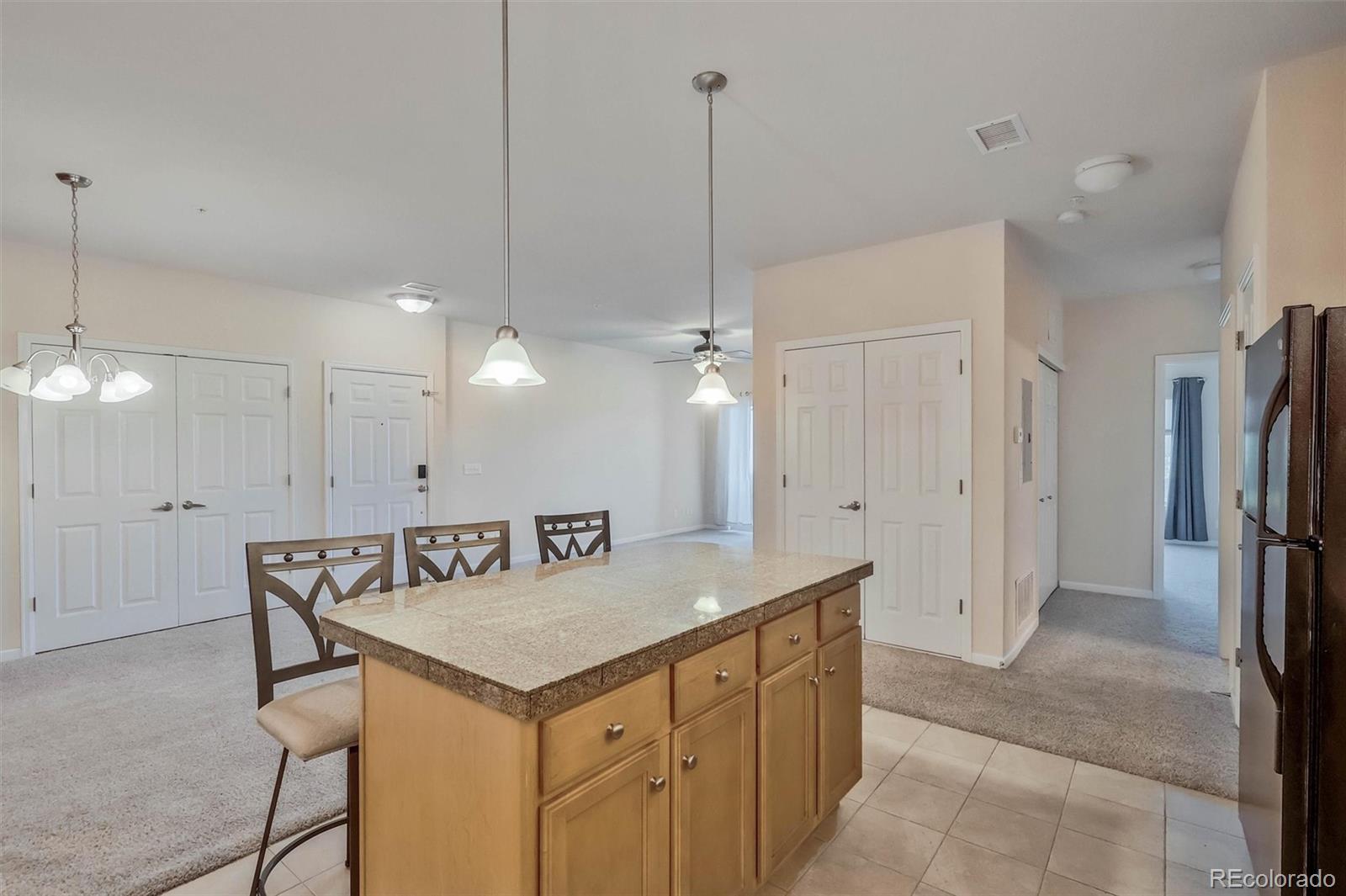 MLS Image #8 for 9318  las ramblas court,parker, Colorado