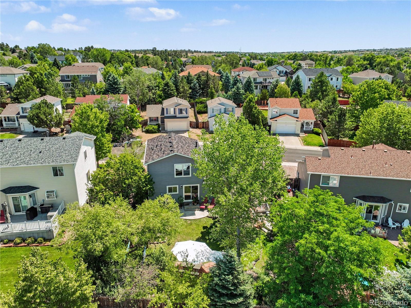 MLS Image #38 for 10865  mount bross way,parker, Colorado