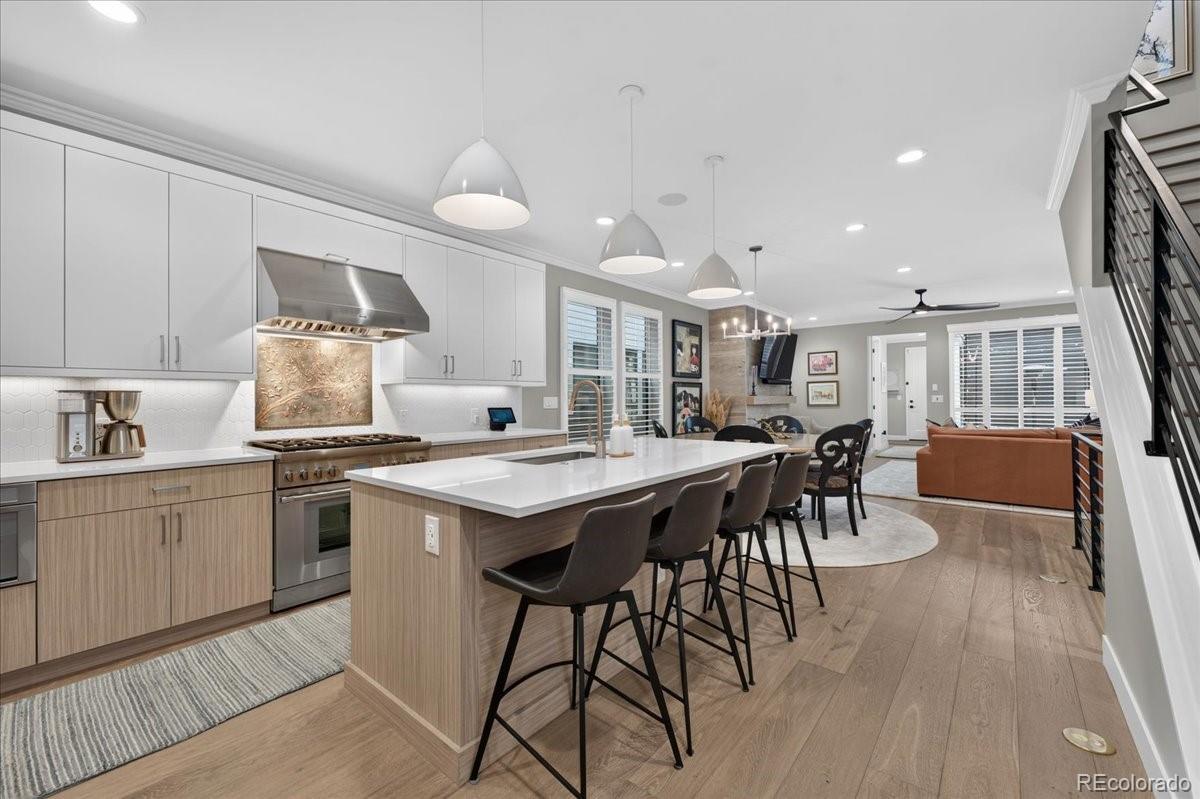 MLS Image #2 for 521  adams street,denver, Colorado