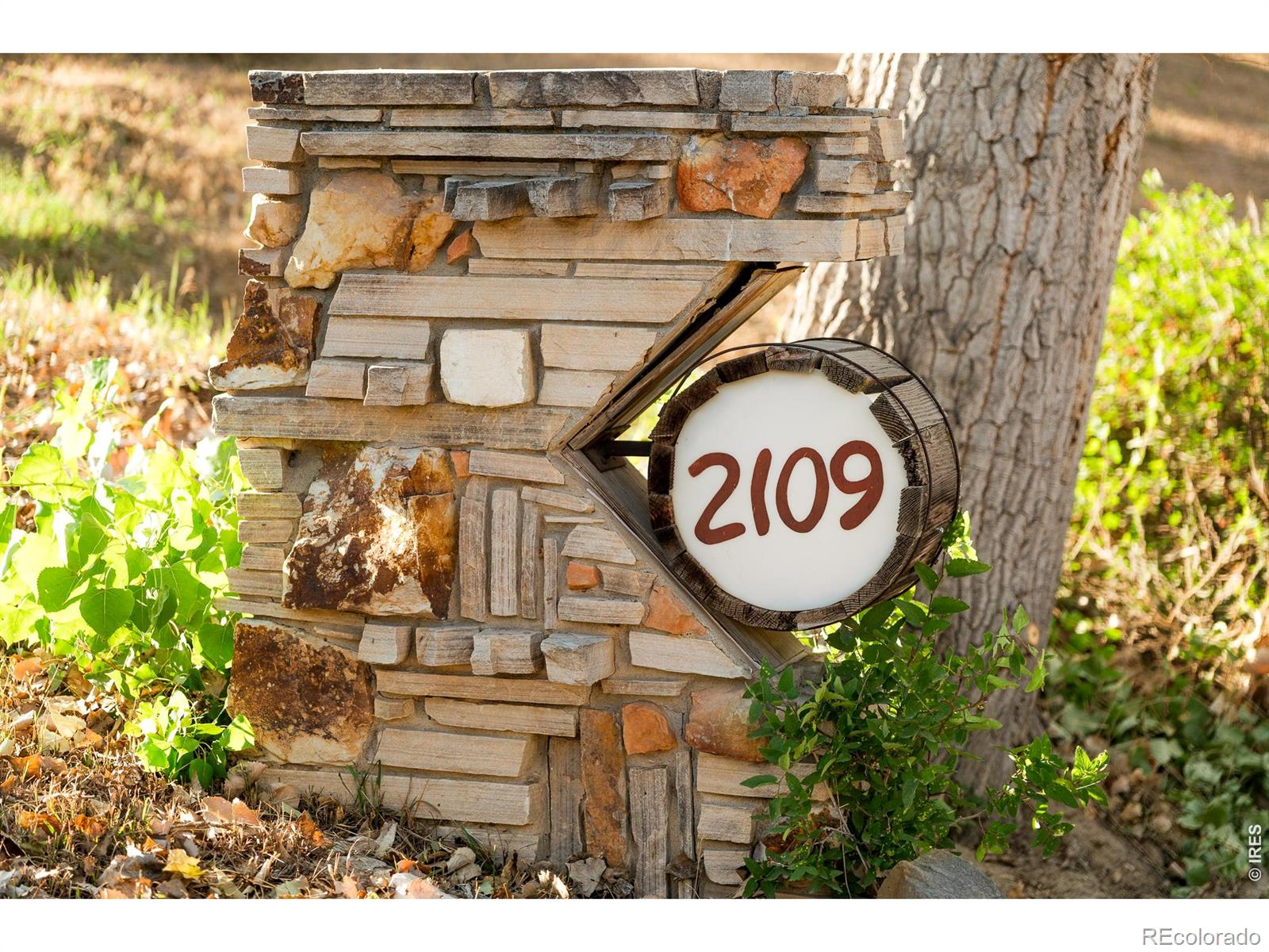 MLS Image #3 for 2109  morning drive,loveland, Colorado
