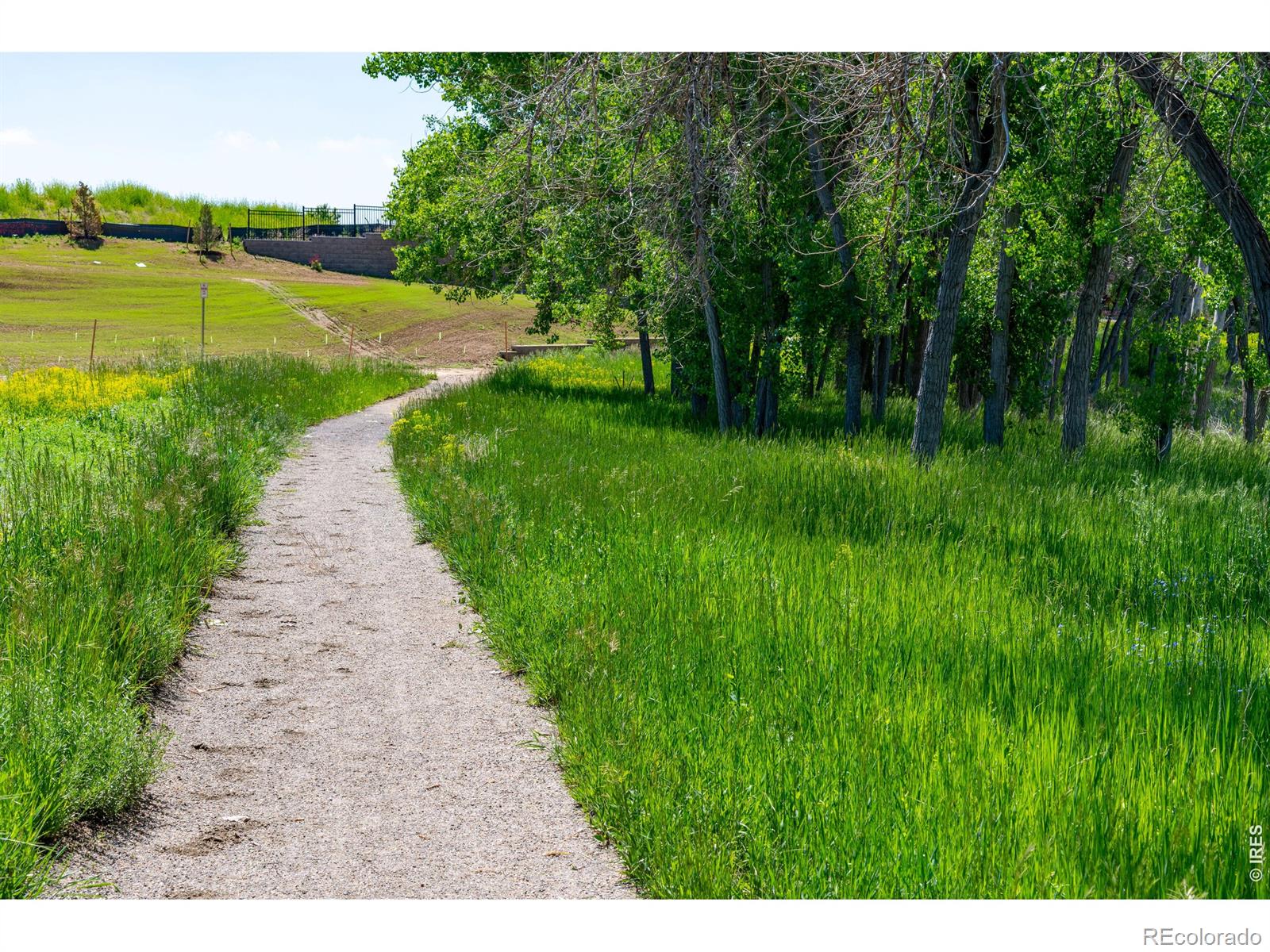 MLS Image #27 for 2978  fleet drive,fort collins, Colorado