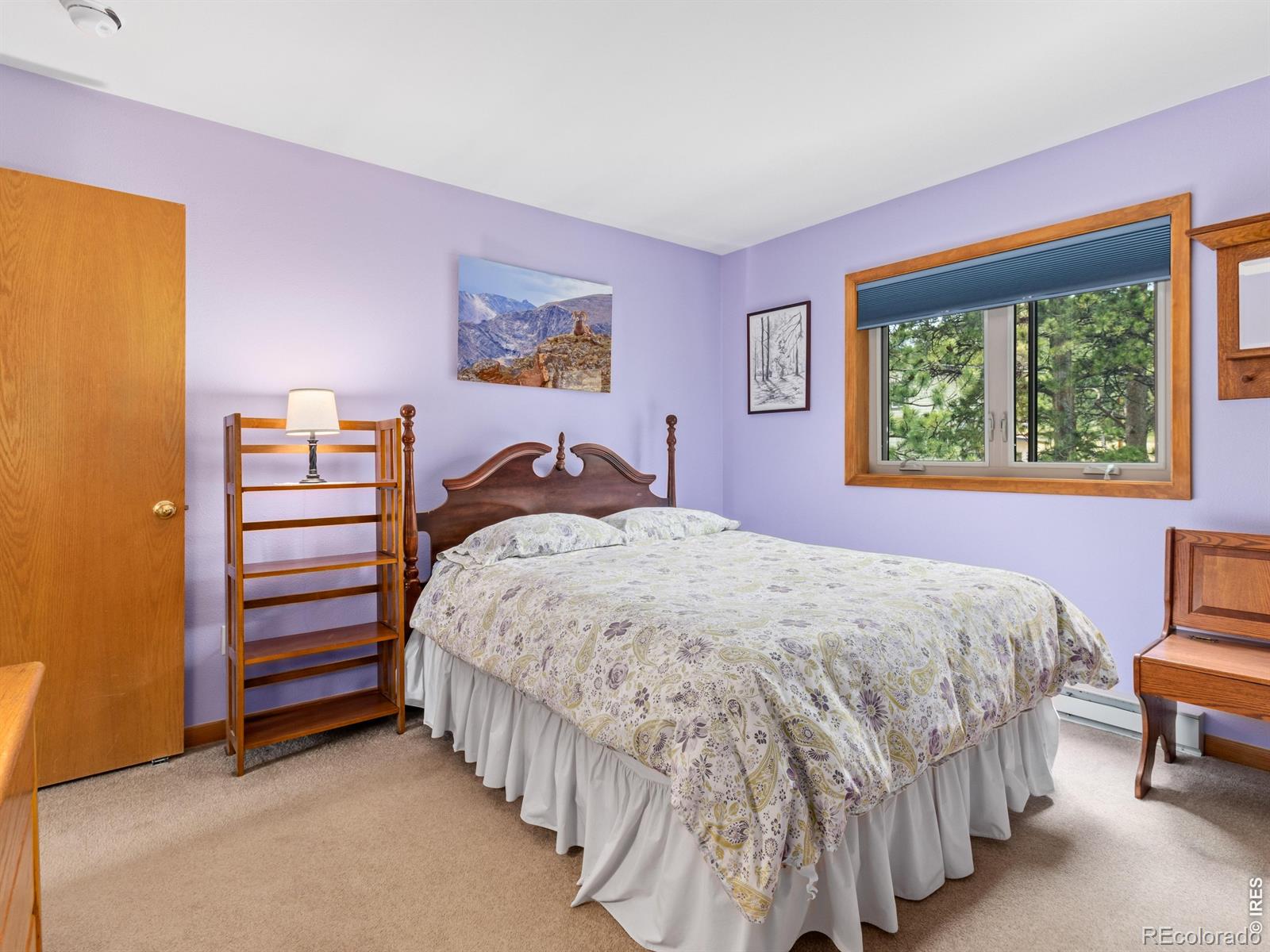 MLS Image #35 for 510  chiquita lane,estes park, Colorado