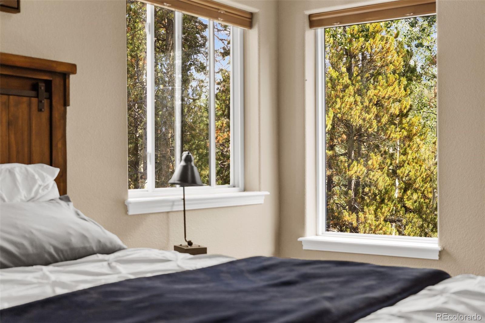 MLS Image #22 for 11512  hannah drive,conifer, Colorado