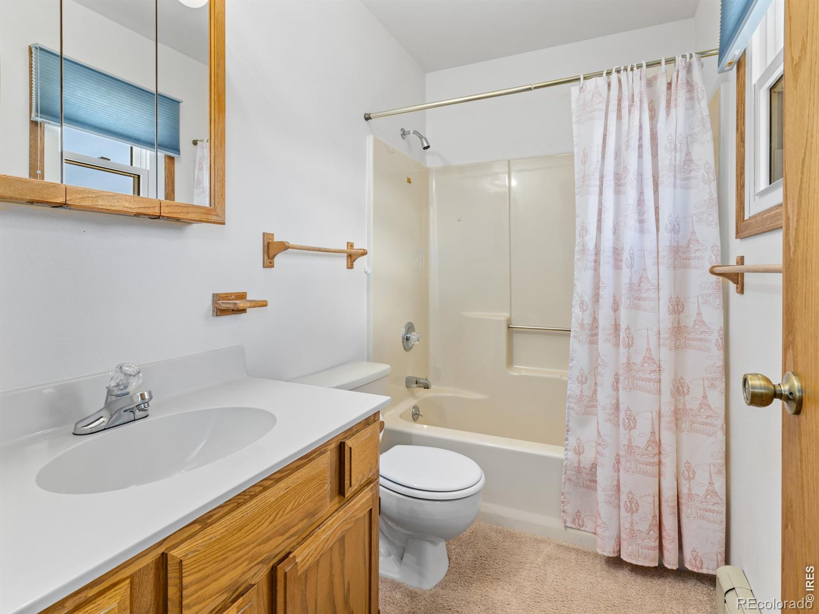 MLS Image #16 for 1790  olympian lane,estes park, Colorado