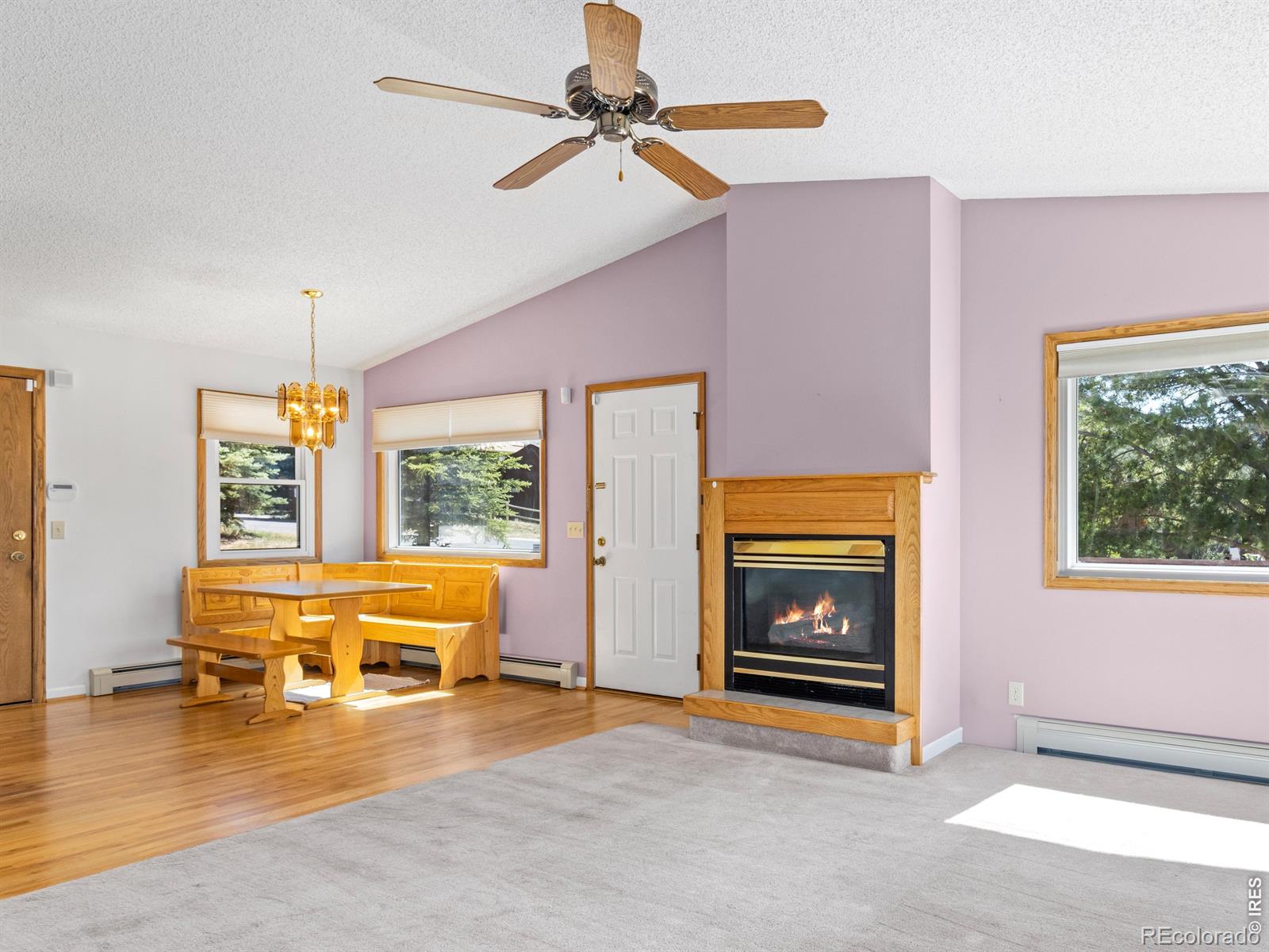 MLS Image #6 for 1790  olympian lane,estes park, Colorado