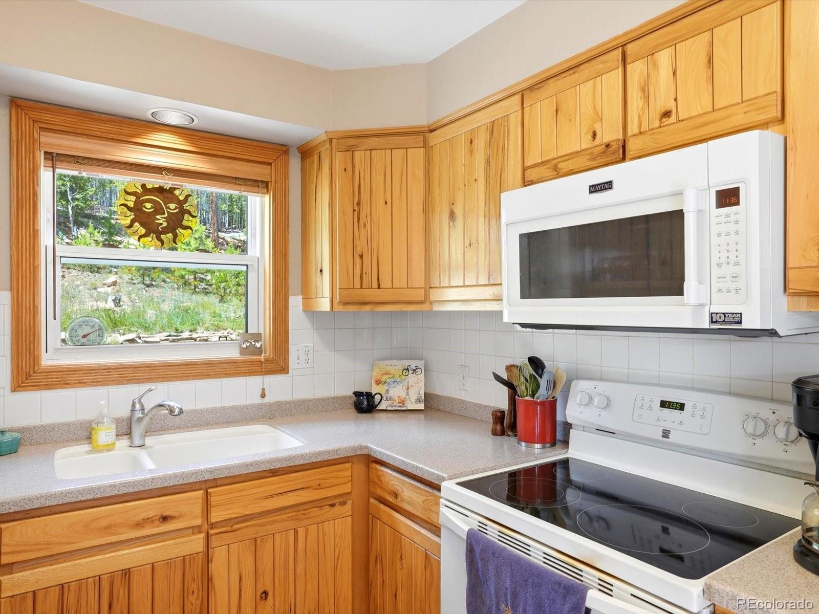 MLS Image #10 for 32627  lila drive,conifer, Colorado