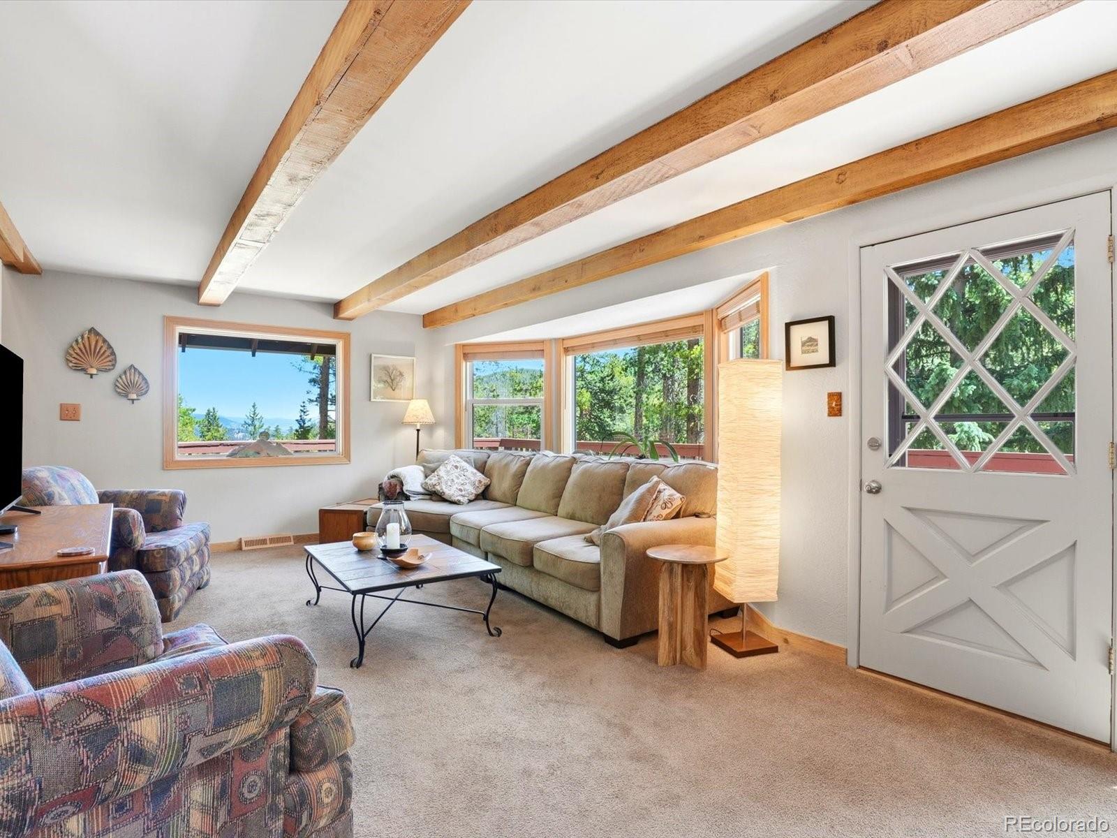 MLS Image #20 for 32627  lila drive,conifer, Colorado