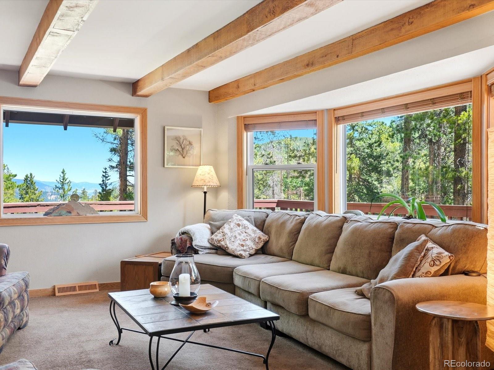 MLS Image #21 for 32627  lila drive,conifer, Colorado
