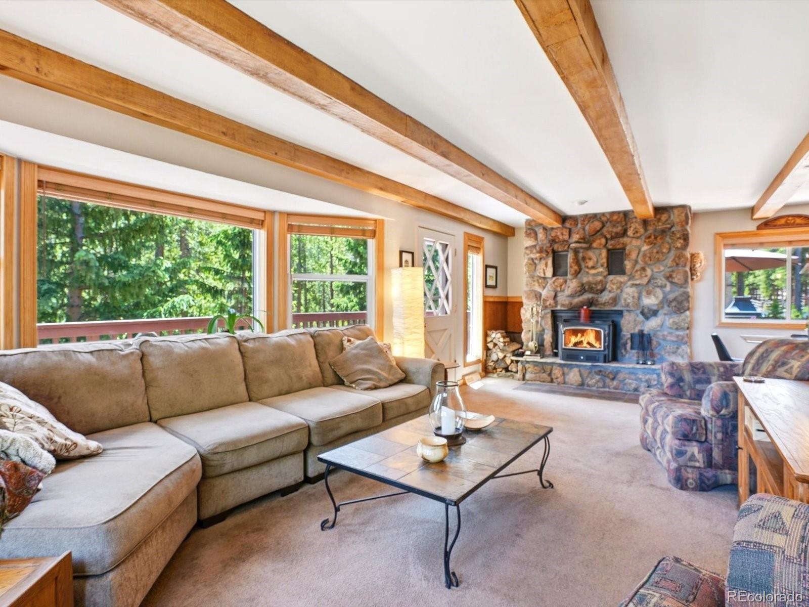 MLS Image #23 for 32627  lila drive,conifer, Colorado