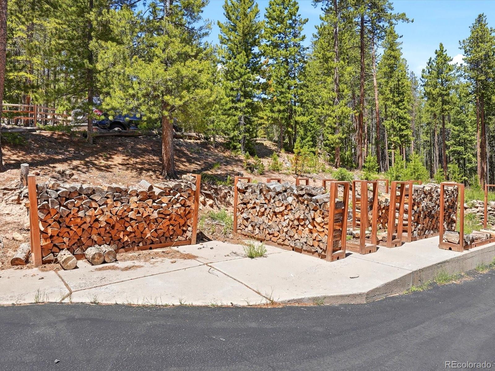 MLS Image #4 for 32627  lila drive,conifer, Colorado