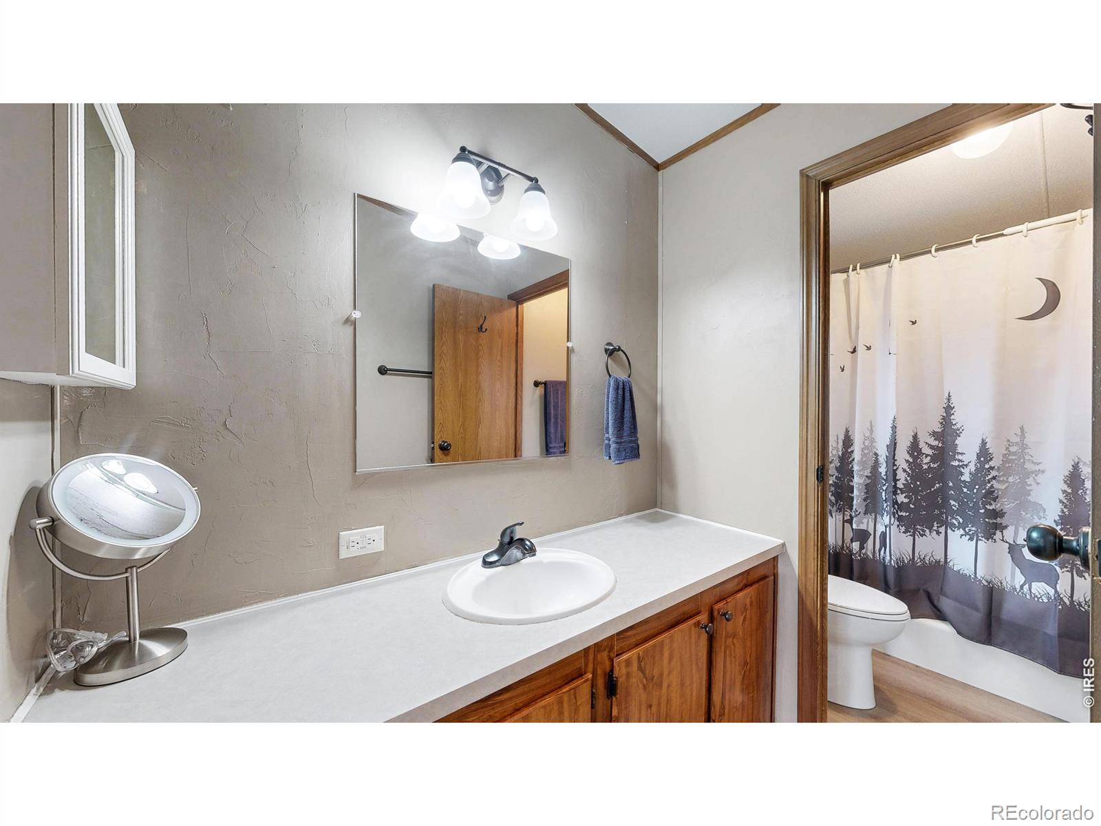 MLS Image #8 for 62  spokane court,red feather lakes, Colorado