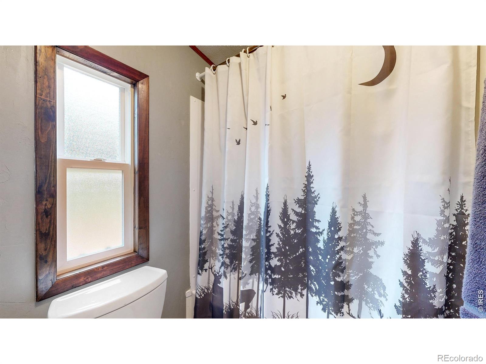MLS Image #9 for 62  spokane court,red feather lakes, Colorado