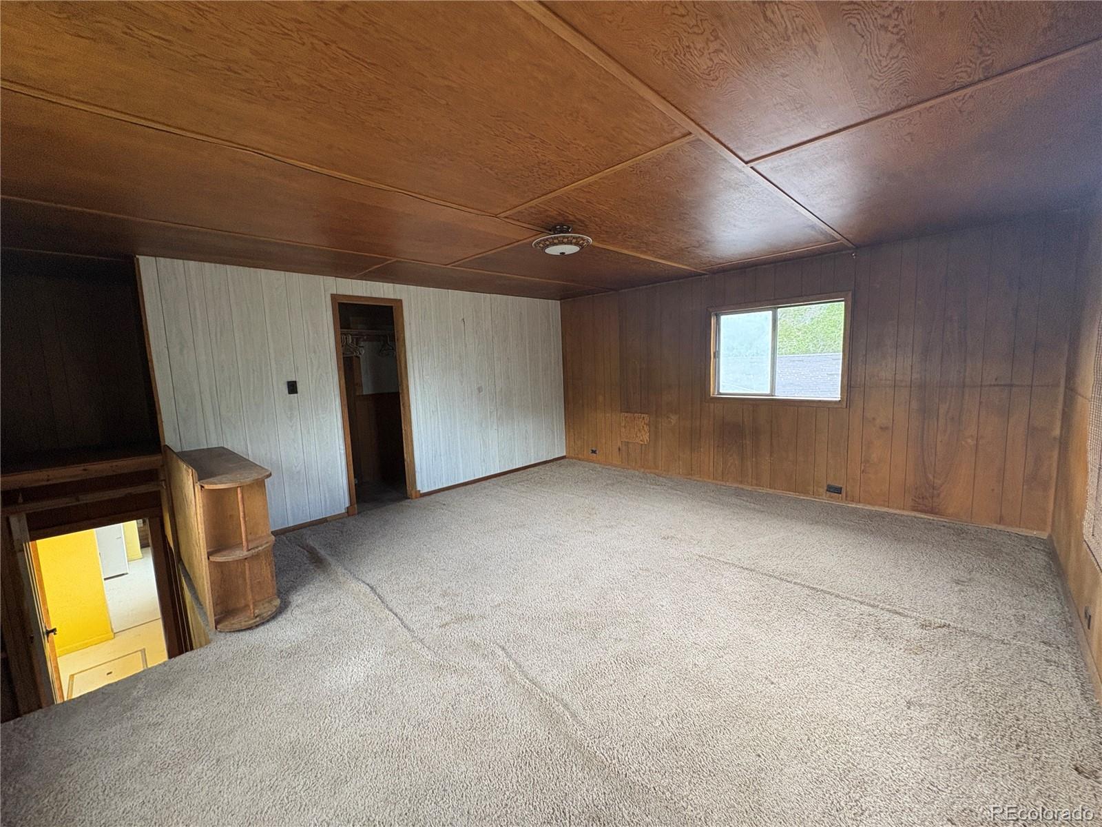 MLS Image #20 for 119  mill avenue,buena vista, Colorado