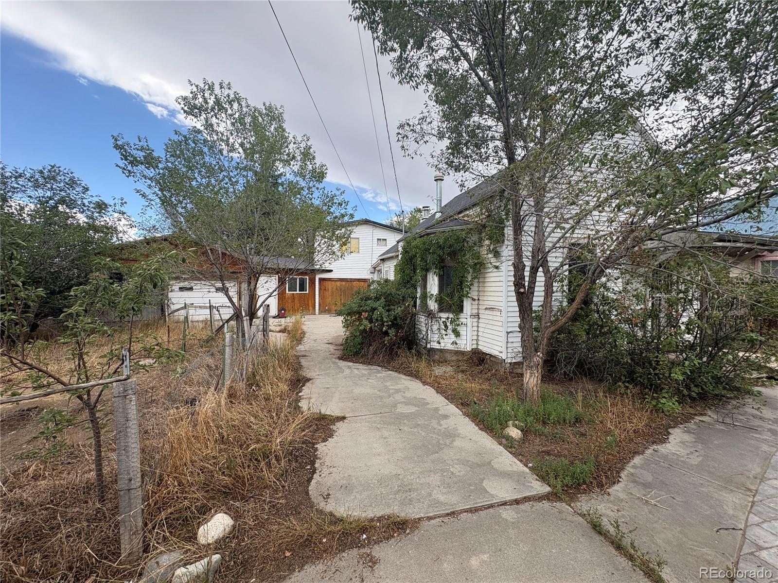MLS Image #3 for 119  mill avenue,buena vista, Colorado