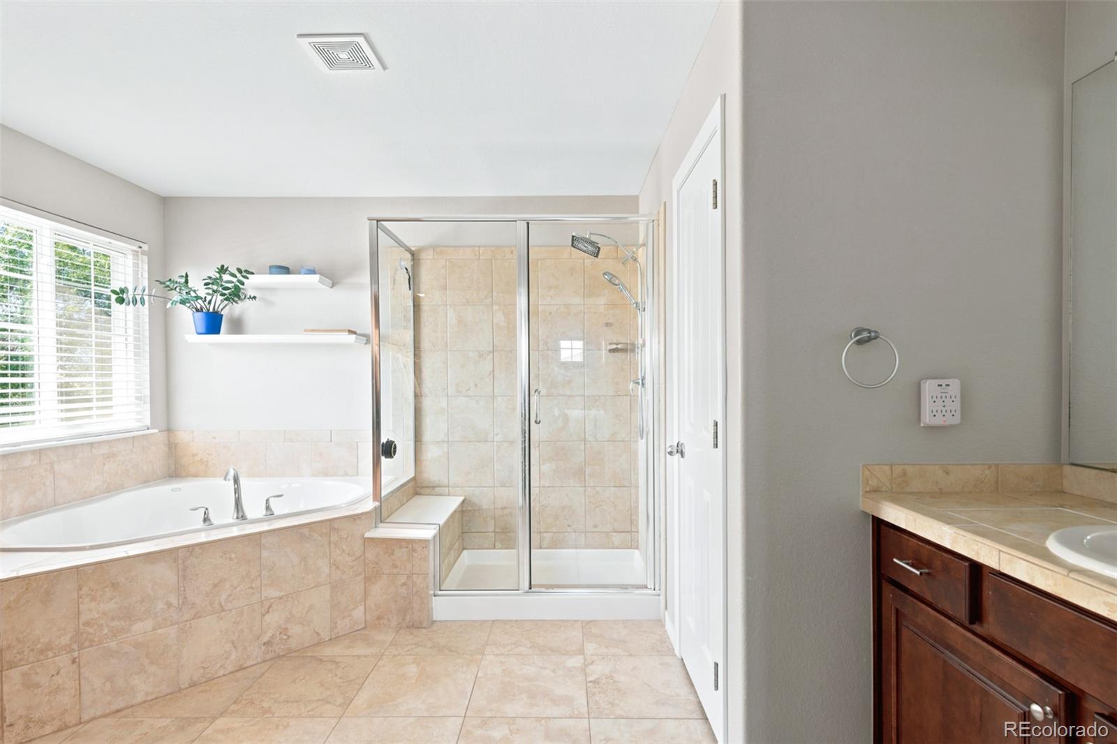 MLS Image #15 for 1155  petras street,erie, Colorado