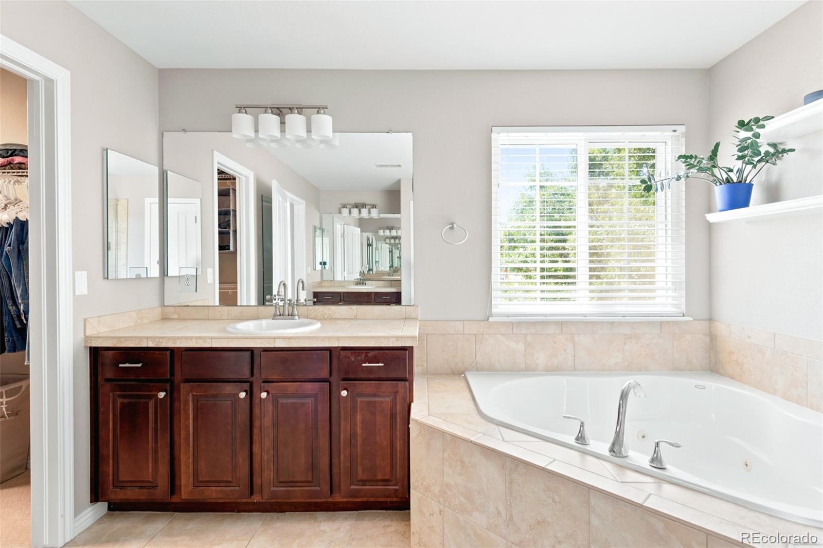 MLS Image #17 for 1155  petras street,erie, Colorado