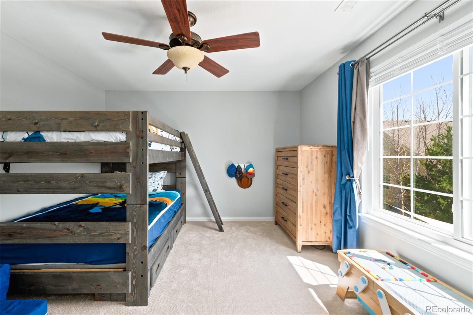 MLS Image #23 for 1155  petras street,erie, Colorado